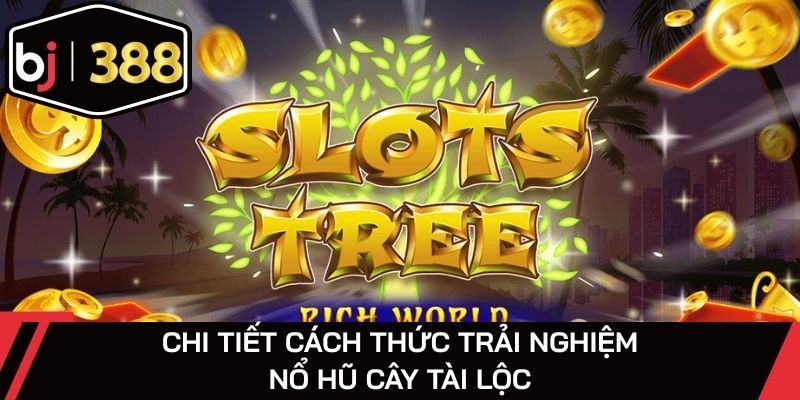 Chi tiết trải nghiệm giải trí