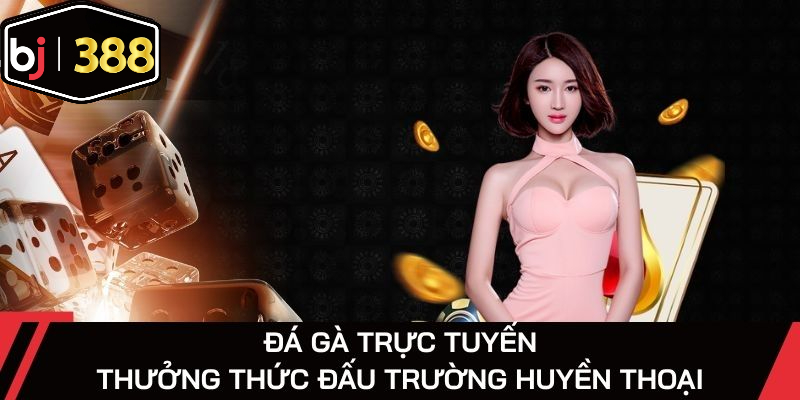 Đá gà căng thẳng từng phút