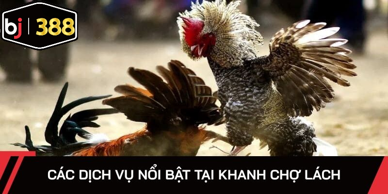 Điểm qua loạt dịch vụ hấp dẫn