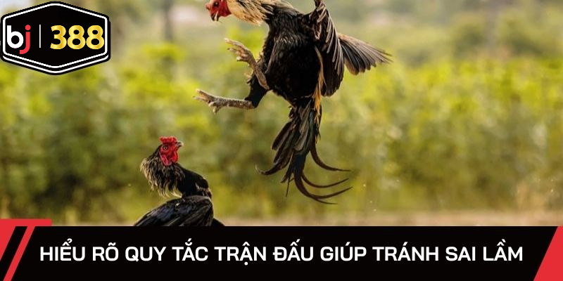 Hiểu rõ quy tắc trận đấu giúp tránh sai lầm
