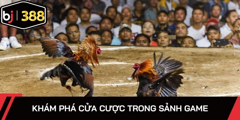 Khám phá cửa cược trong sảnh game