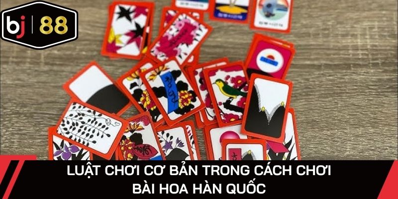 Luật trải nghiệm đặc sắc