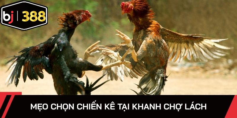 Mẹo hay giúp chọn chiến binh chuẩn