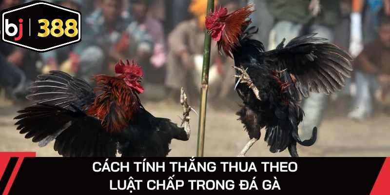 Phân định thắng thua đơn giản